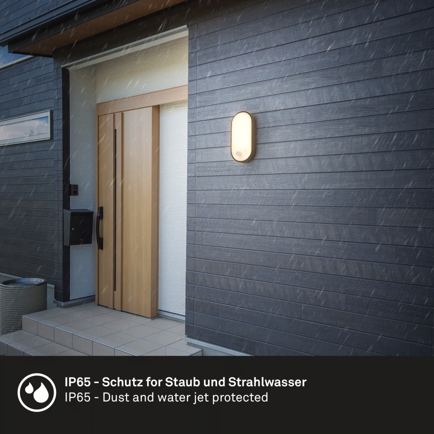 Brilo - LED buitenmuurlamp met bewegings- en schemersensor RUCH LED/12W/230V IP65 zwart