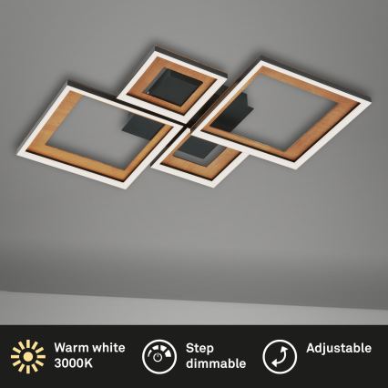 Brilo - LED Dimbare Opbouwlamp FRAME LED/38W/230V