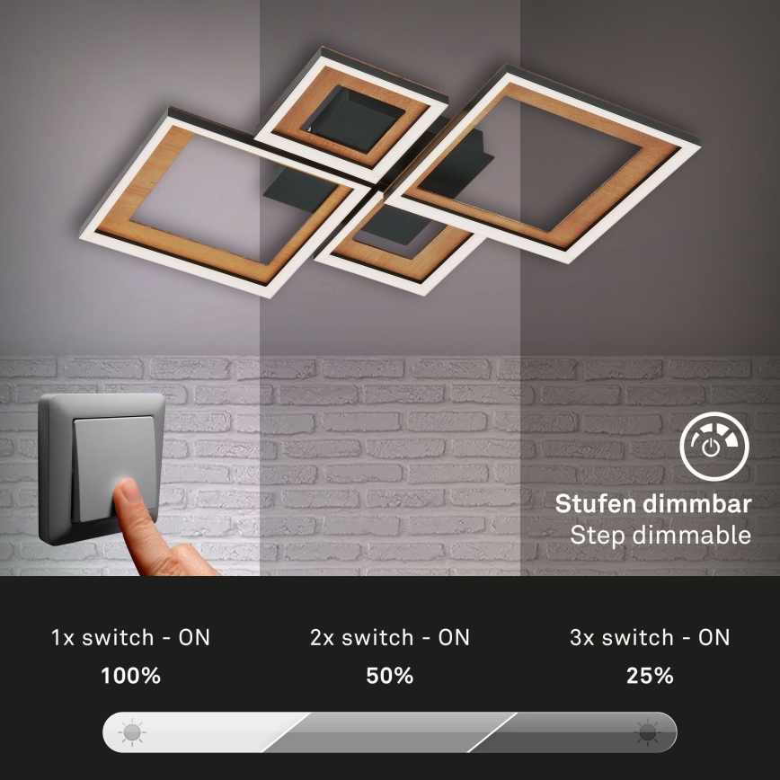 Brilo - LED Dimbare Opbouwlamp FRAME LED/38W/230V
