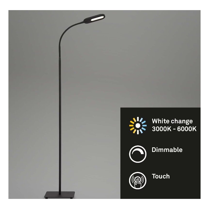 Briloner 1297-015 - LED Dimbaar flexibel Staande lamp LED/6,6W/230V
