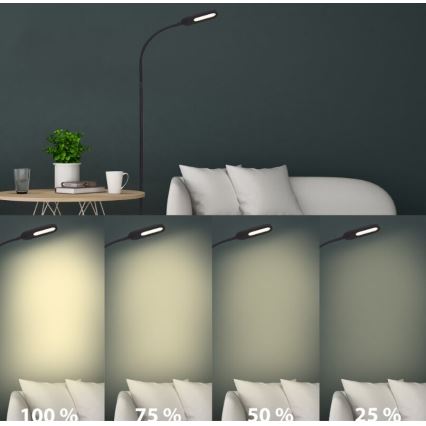 Briloner 1297-015 - LED Dimbaar flexibel Staande lamp LED/6,6W/230V