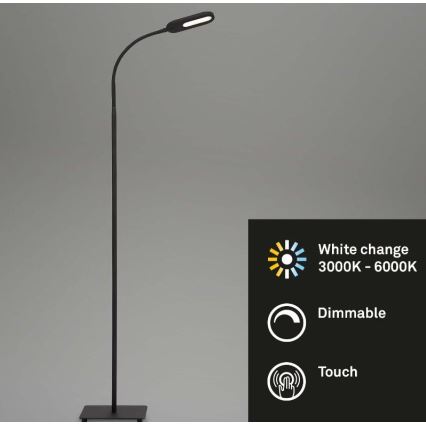 Briloner 1297-015 - LED dimbare flexibele vloerlamp LED/6,6W/230V 3000K/4000K/6000K
