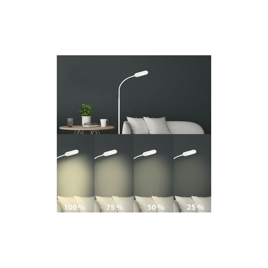 Briloner 1297-016 - LED Dimbaar aanraken Staande lamp LED/8W/230V 3000/4000/6000K