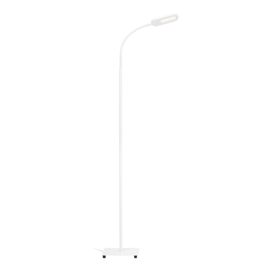 Briloner 1297-016 - LED Dimbaar aanraken Staande lamp LED/8W/230V 3000/4000/6000K