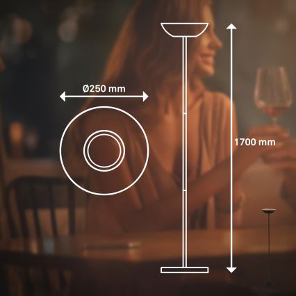 Briloner 1500015 - LED-dimbare vloerlamp ESTATE LED/8W/5V 4000 mAh zwart