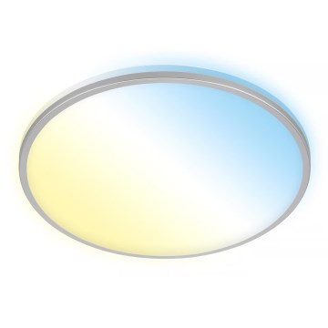 Briloner 3064-014 - Dimbare LED-plafondlamp IVY LED/24W/230V Wi-Fi Tuya Ø 33,3 cm + afstandsbediening