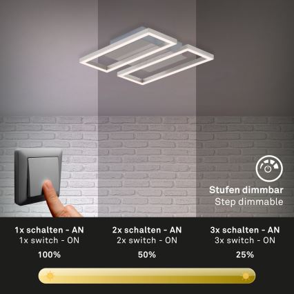 Briloner 3107-012 - Dimbare LED plafondlamp FRAME 2xLED/7,25W/230V