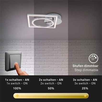 Briloner 3114-018 - Dimbare LED plafondlamp FRAME LED/19,6W/230V 3000K