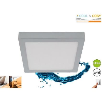 Briloner 3142-018 - LED Badkamer plafondlamp COOL&COSY LED/21W/230V 2700/4000K IP44