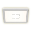 Briloner 3174-014 - LED Plafond Lamp FREE LED/12W/230V 19x19 cm