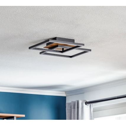 Briloner 3210-014 - Dimbare LED Plafondlamp FRAME 2xLED/11W/230V bruin