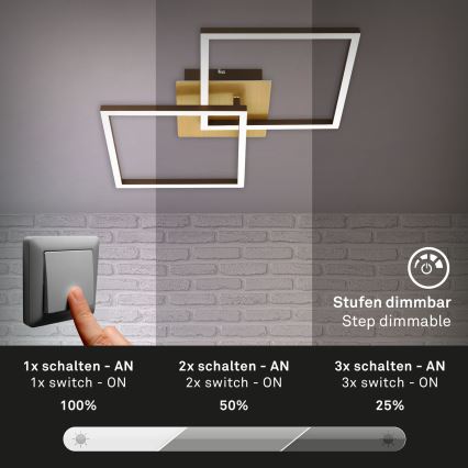 Briloner 3210-017 - LED dimbare plafondlamp FRAME 2xLED/11W/230V goudkleurig