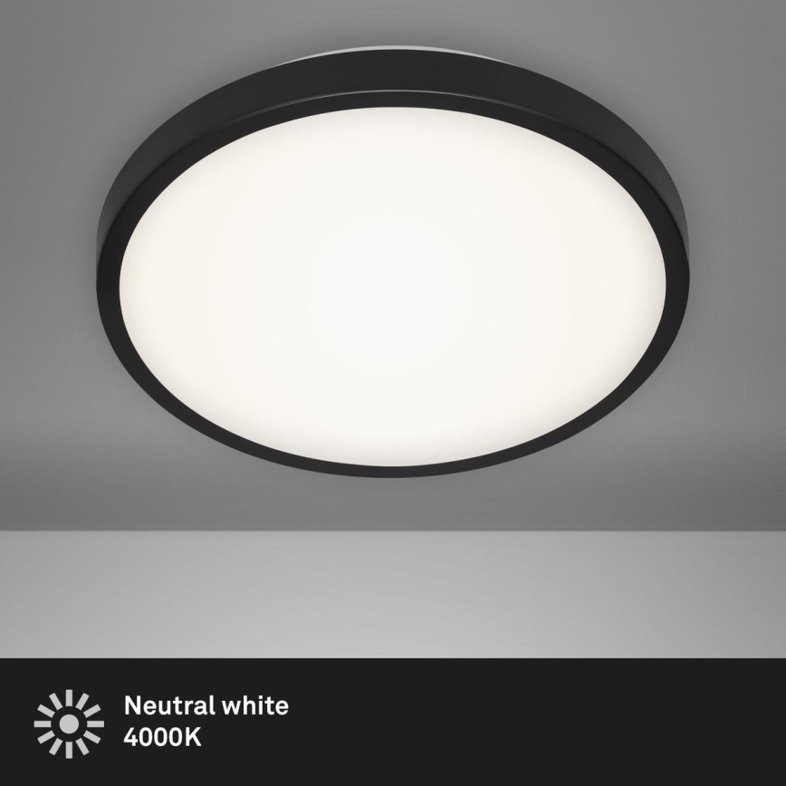 Briloner 3455-015 - LED plafondlamp MANNY LED/12W/230V