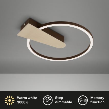 Briloner 3542017 - Dimbare LED plafondlamp NICO LED/12W/230V goud