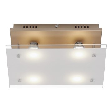 Briloner 3586-047 - LED Plafondlamp SMART GOLD 4xGU10/4W/230V