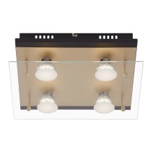 Briloner 3589-045 - LED Plafondlamp 4xGU10/4W/230V