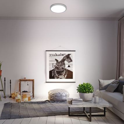 Briloner 3709-014 - LED RGBW Dimbare plafondlamp LED/22W/230V 4000K diameter 38 cm zilver + afstandsbediening