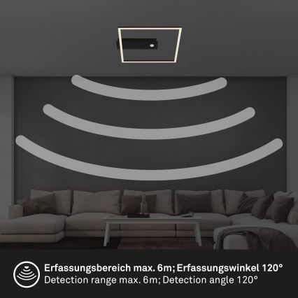 Briloner 3770-015 - LED plafondlamp met bewegings- en schemersensor FRAME LED/14W/230V 3000K 30x32 cm zwart