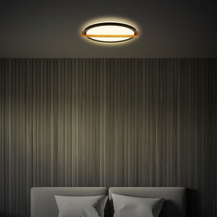 Briloner 3844015 - LED-plafondlamp, 18 W, 230 V, Ø 31,5 cm