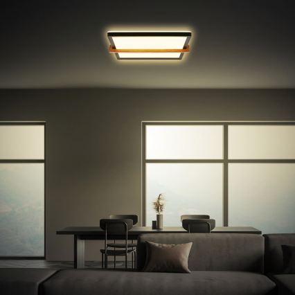 Briloner 3845015 - LED plafondlamp LED/18W/230V 29,5x31,5 cm