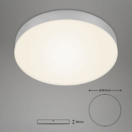 Briloner 7066-014 - LED Plafondlamp FLAME LED/21W/230V 3000K zilver diameter 28,7 cm