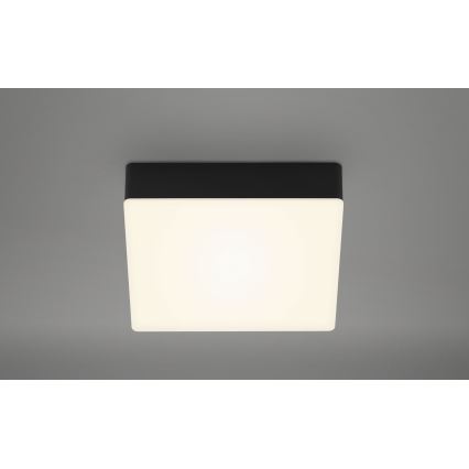 Briloner 7069-015 - LED Plafondlamp LED/11W/230V zwart