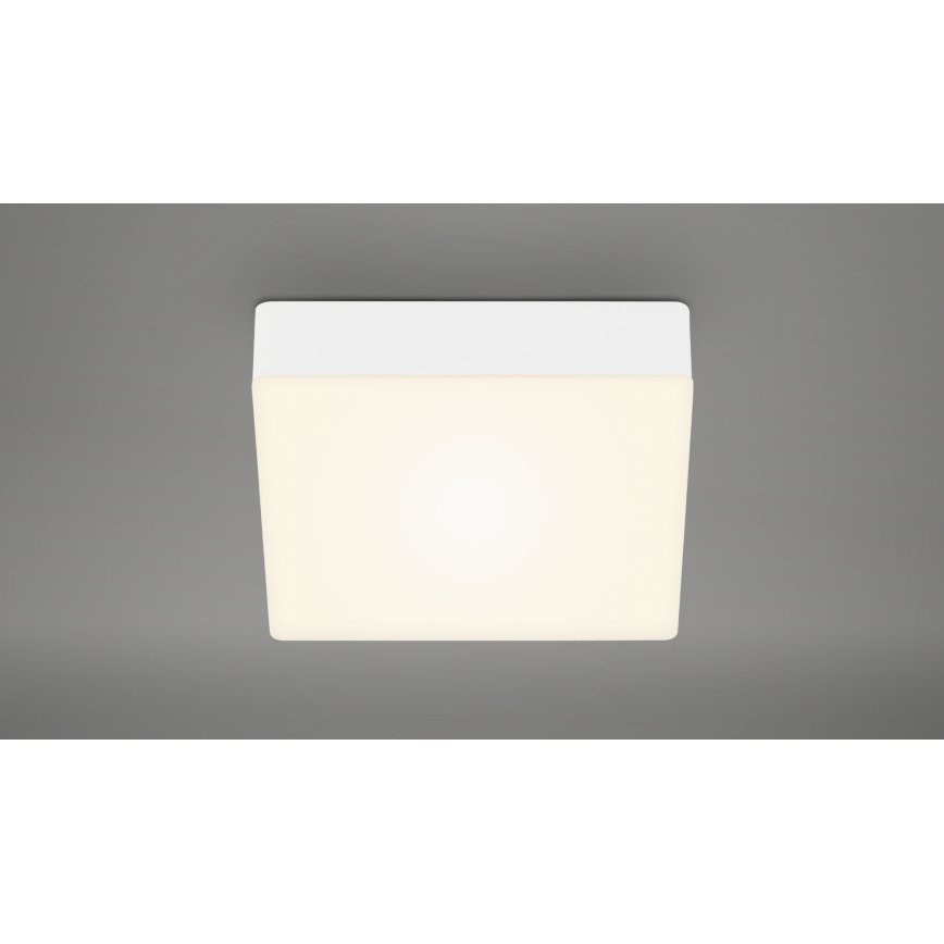 Briloner 7069-016 - LED Plafondlamp LED/11W/230V wit