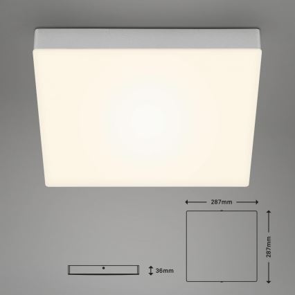 Briloner 7071-014 - LED Plafondlamp FLAME LED/21W/230V 3000K 28,7x28,7 cm zilver