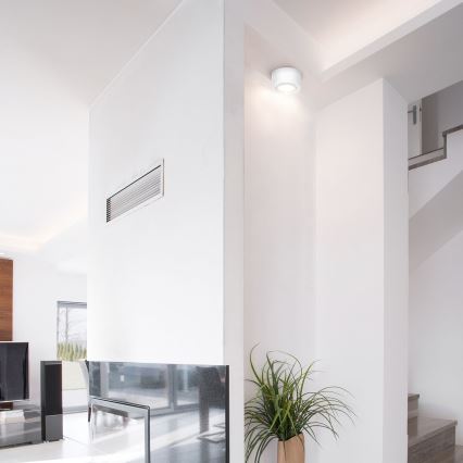 Briloner 7121-016 - LED spot TUBE 1xLED/5W/230V rond