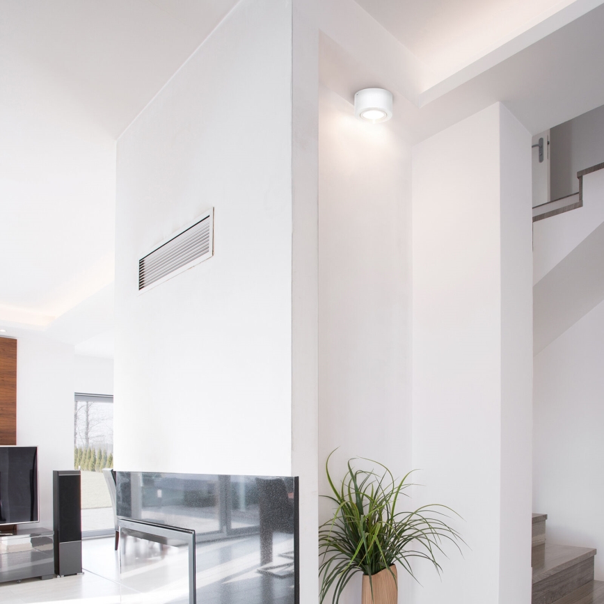 Briloner 7121-016 - LED spot TUBE 1xLED/5W/230V rond