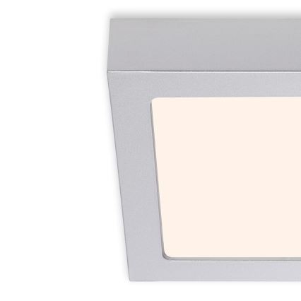 Briloner 7123-014 - LED plafondlamp FIRE LED/12W/230V 3000K 17x17cm zilver