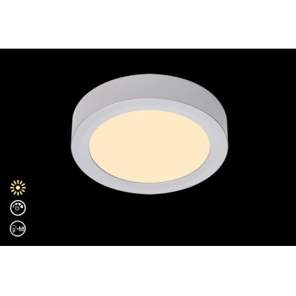 Briloner 7124-014 - Dimbare LED Plafondlamp FIRE LED/12W/230V 3000K