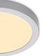 Briloner 7132-014 - LED Badkamer plafondlamp FIRE LED/21W/230V 3000K IP44