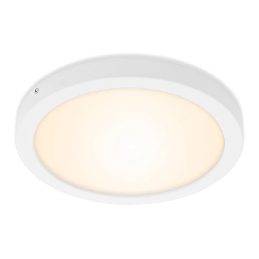 Briloner 7141-016 - LED Plafondlamp FIRE LED/21W/230V