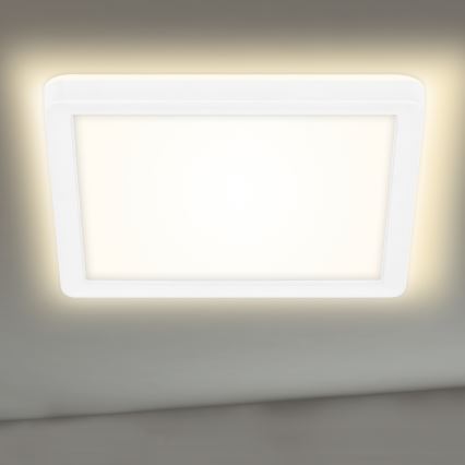 Briloner 7153-416 - LED Plafond Lamp SLIM LED/12W/230V