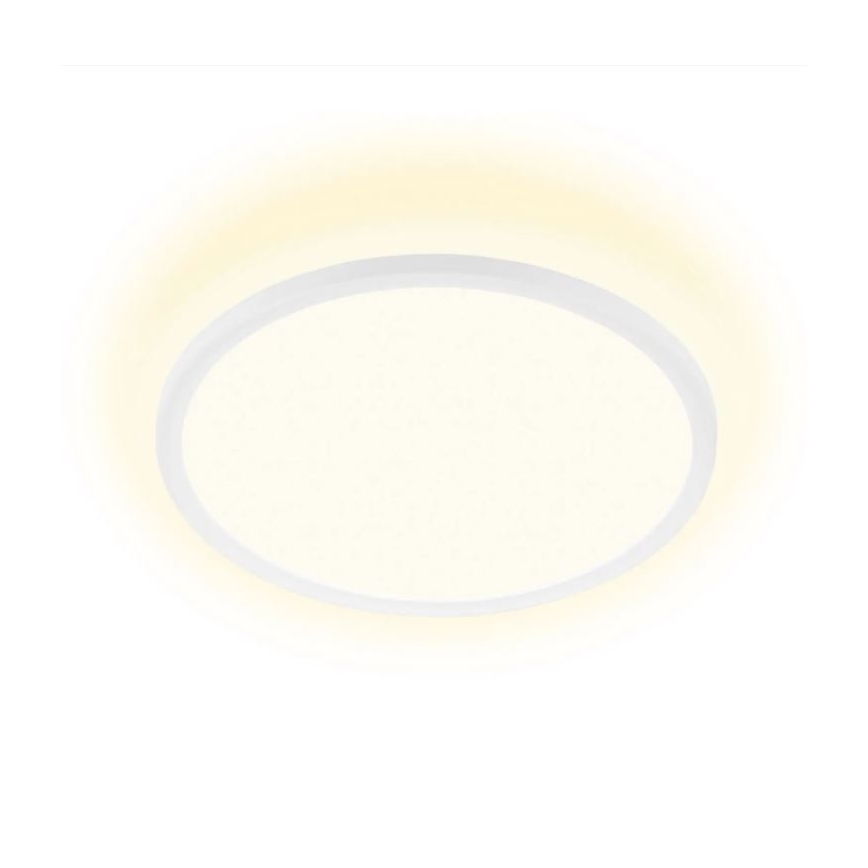 Briloner 7155-416 - LED Plafond Lamp SLIM LED/18W/230V