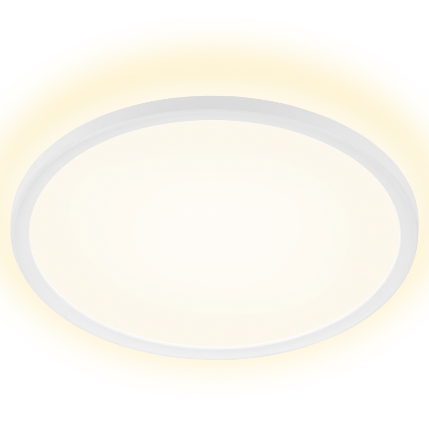 Briloner 7157-416 - LED plafondlamp SLIM LED/22W/230V diameter 42 cm