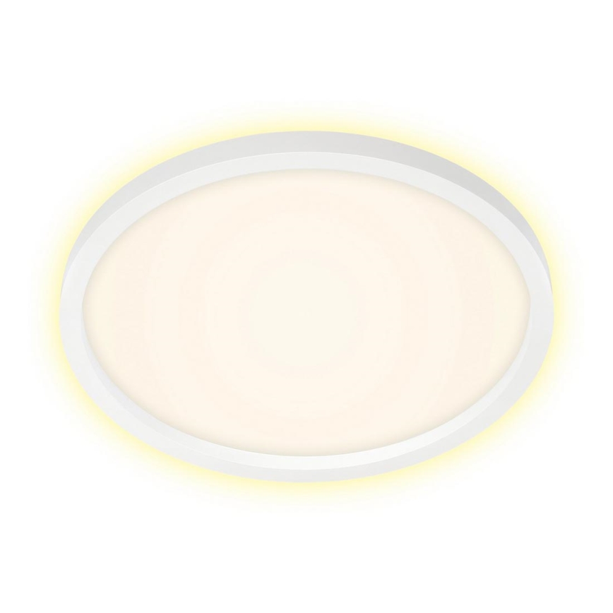 Briloner 7363-016 - LED plafondlamp CADRE LED/22W/230V d. 42,5 cm wit