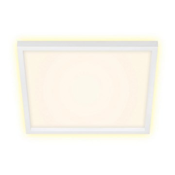 Briloner 7364-016 - LED plafondlamp CADRE LED/22W/230V 42,2x42,2 cm wit
