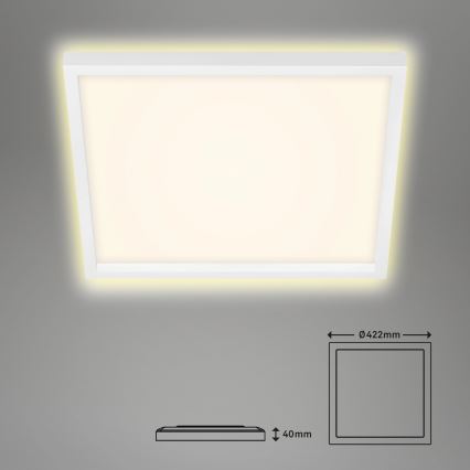 Briloner 7364-016 - LED plafondlamp CADRE LED/22W/230V 42,2x42,2 cm wit