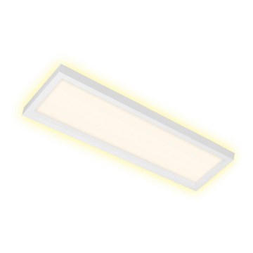Briloner 7365-016 - LED plafondlamp CADRE LED/22W/230V 58,2x20,2 cm wit