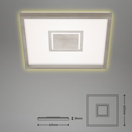 Briloner 7367-112 - LED Plafondlamp GEO LED/22W/230V