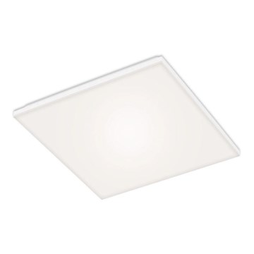 Briloner 7376-116 - LED Plafondlamp FRAMELESS LED/24W/230V