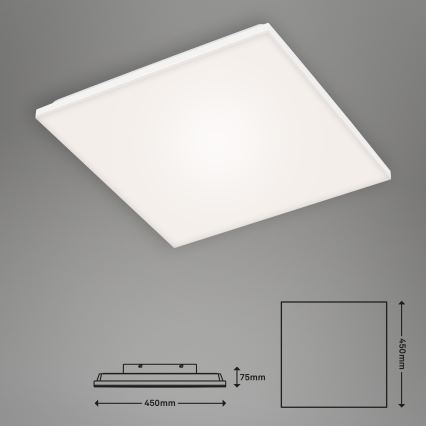 Briloner 7376-116 - LED Plafondlamp FRAMELESS LED/24W/230V