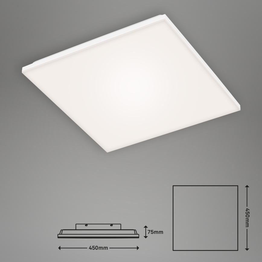 Briloner 7376-116 - LED Plafondlamp FRAMELESS LED/24W/230V