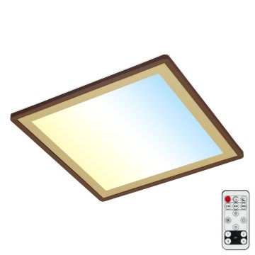 Briloner 7459-417 - Dimbare LED plafondlamp DECO LED/24W/230V 2700-6500K + afstandsbediening