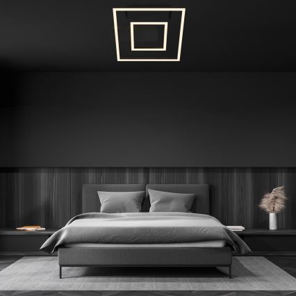Briloner - LED plafondlamp FRAME LED/22W/230V 3000K 30x32 cm zwart