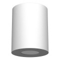 Brosline - Badkamerspot 1xGU10/10W/230V IP44 wit