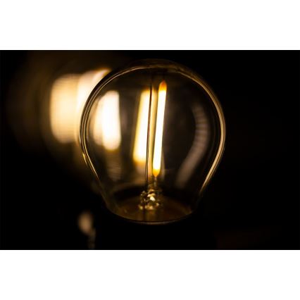 Buiten decoratieve lichtketting MIMOSA 20xE27/1,3W/230V IP44 10m