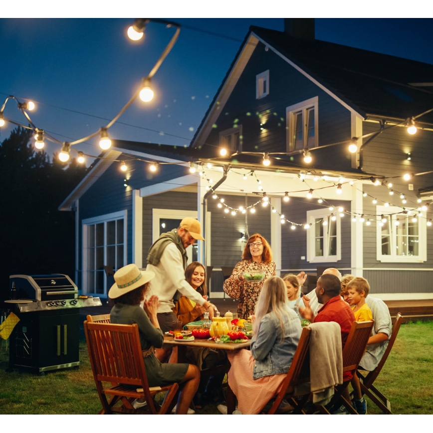 Buiten Decoratieve lichtsnoer MIMOSA 10xE27/1,3W/230V IP44 10 m